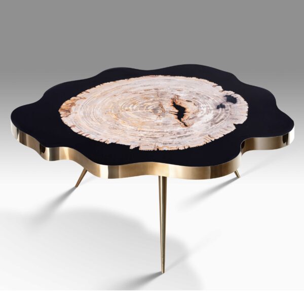 petrified wood balicio coffee table