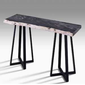 Petrified wood blora console table