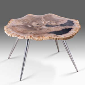 petrified wood colmar coffee table