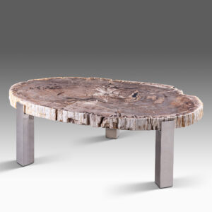 Petrified Wood Seoul Coffee Table Furniture Manufacturer