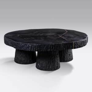 petrified wood coffee table